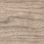 Bleached WalnutW42 Bleached Walnut W42 - Timber Collection - Veneer Texture